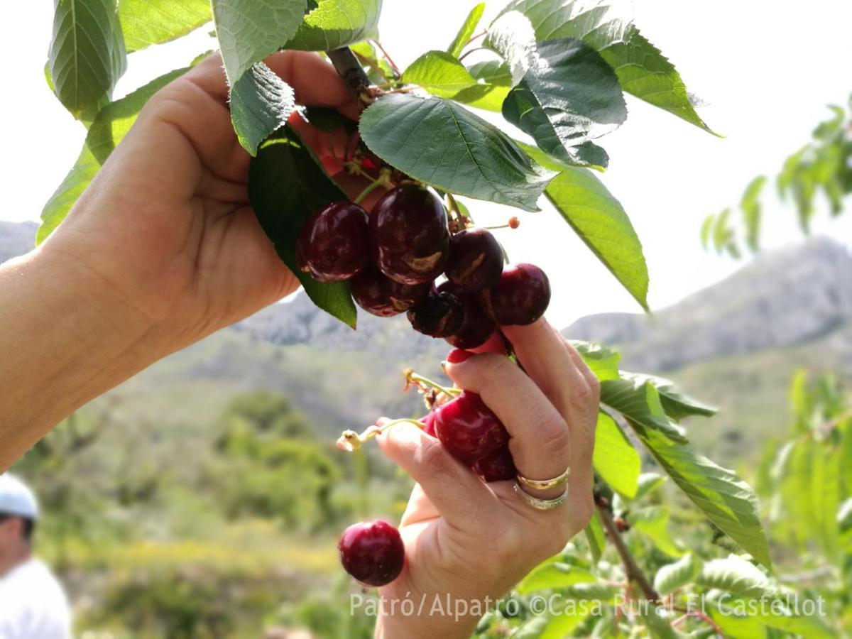 Buhardilla Rustica En La Vall De Gallinera Aparthotel Patro Luaran gambar