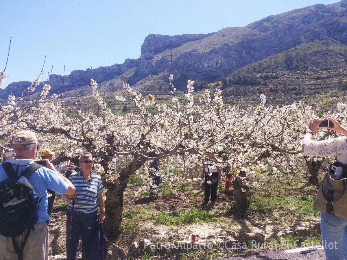 Buhardilla Rustica En La Vall De Gallinera Aparthotel Patro Luaran gambar